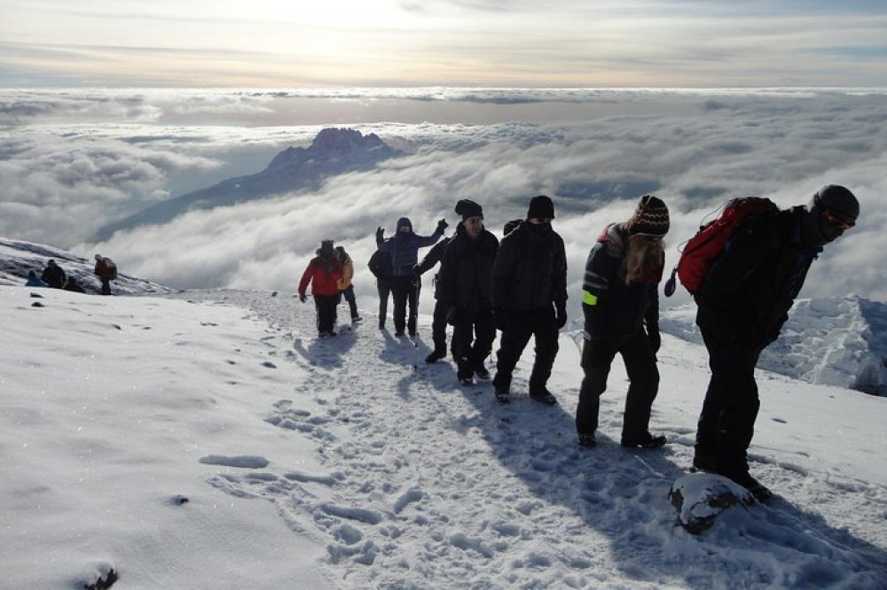 Private 7-Day Kilimanjaro Trek Via Lemosho Route from Moshi