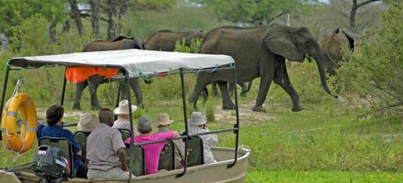 4-Day Selous Game Reserve & Mikumi National Park