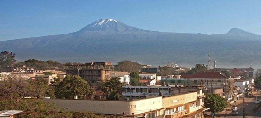Full-Day Moshi Private Forest Walk and Local Market Tour