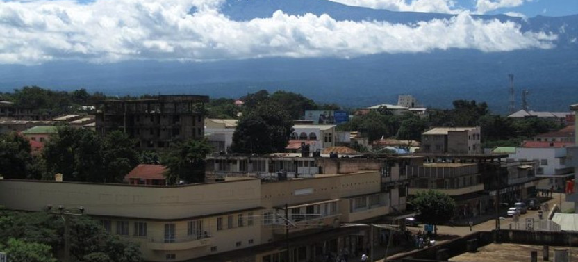 Full-Day Moshi Private Forest Walk and Local Market Tour