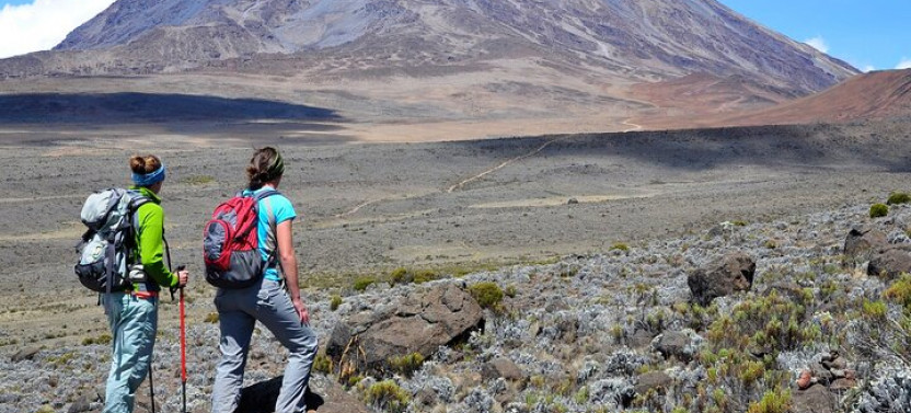 Mt. Kilimanjaro Treks (Marangu Route, Machame & Shira Plateau)