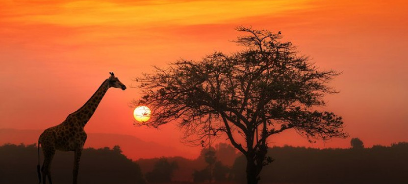 Camping Safari: Serengeti, Ngorongoro, Lake Manyara & Tarangire