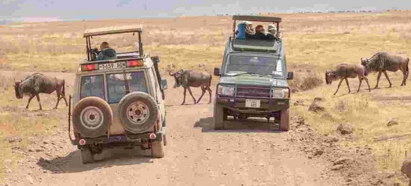 Camping Safari: Serengeti, Ngorongoro, Lake Manyara & Tarangire