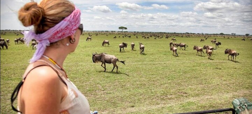 Camping Safari: Serengeti, Ngorongoro, Lake Manyara & Tarangire