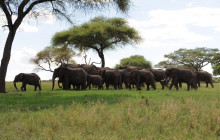 Camping Safari: Serengeti, Ngorongoro, Lake Manyara & Tarangire