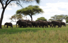 3-Day Camping Safari From Arusha With Tarangire And Ngorongoro