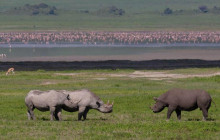 3-Day Camping Safari From Arusha With Tarangire And Ngorongoro