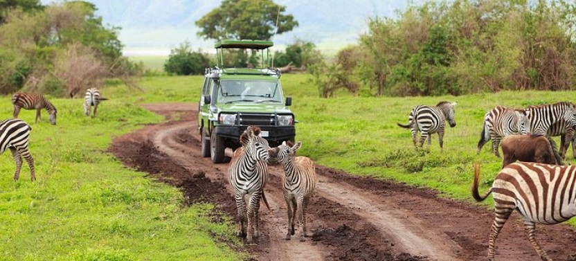 8-Day Tanzania Family Holiday Lodge Safari