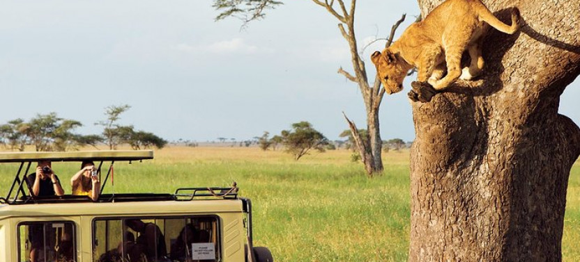 Bush to Beach Safari :Serengeti, Tarangire, Ngorongoro & Zanzibar