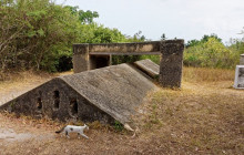 9-Day Tanzania Historical Sites Tour With Safari and Zanzibar