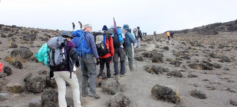 6-Day Private Guided Hiking Tour To Kilimanjaro Umbwe Route