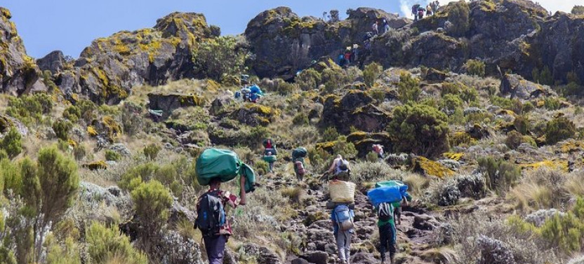 7-Day Private Climbing Through Machame Route to Kilimanjaro