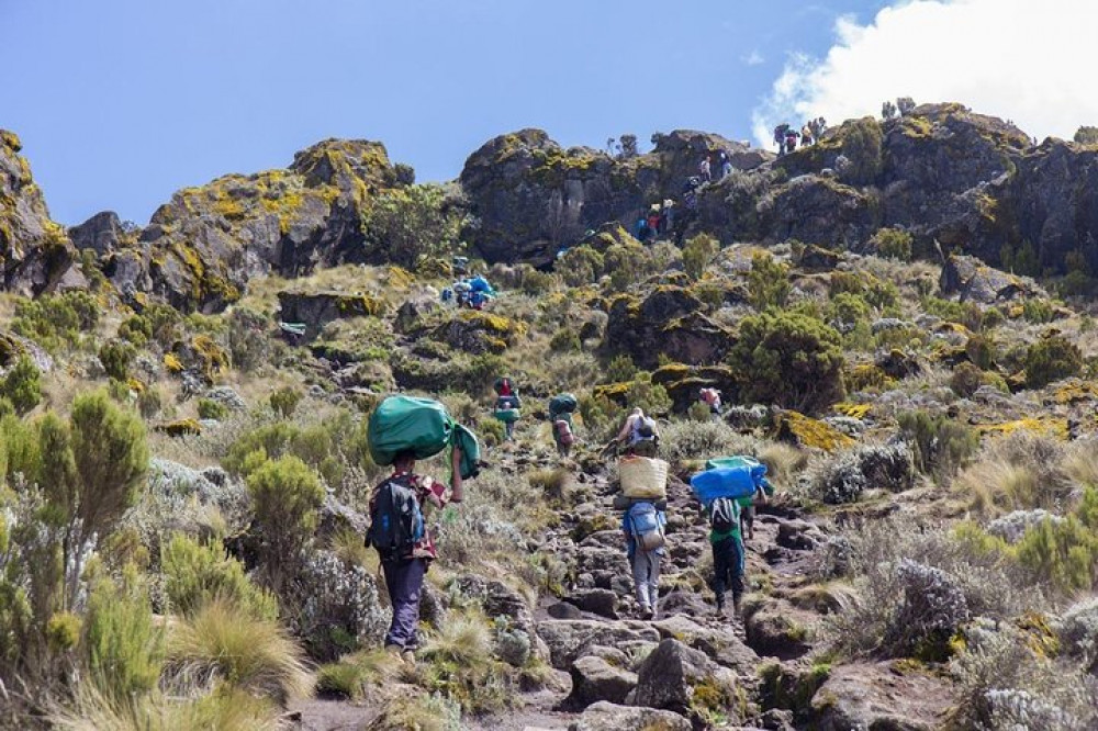 Pinnacle Adventures and Safaris