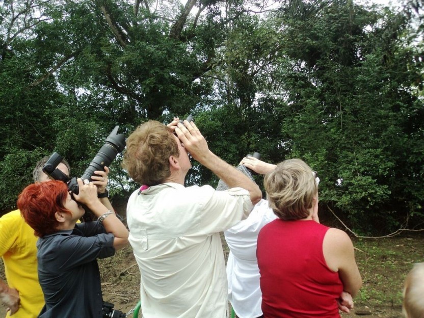Wildlife Caño Negro Boat Trip