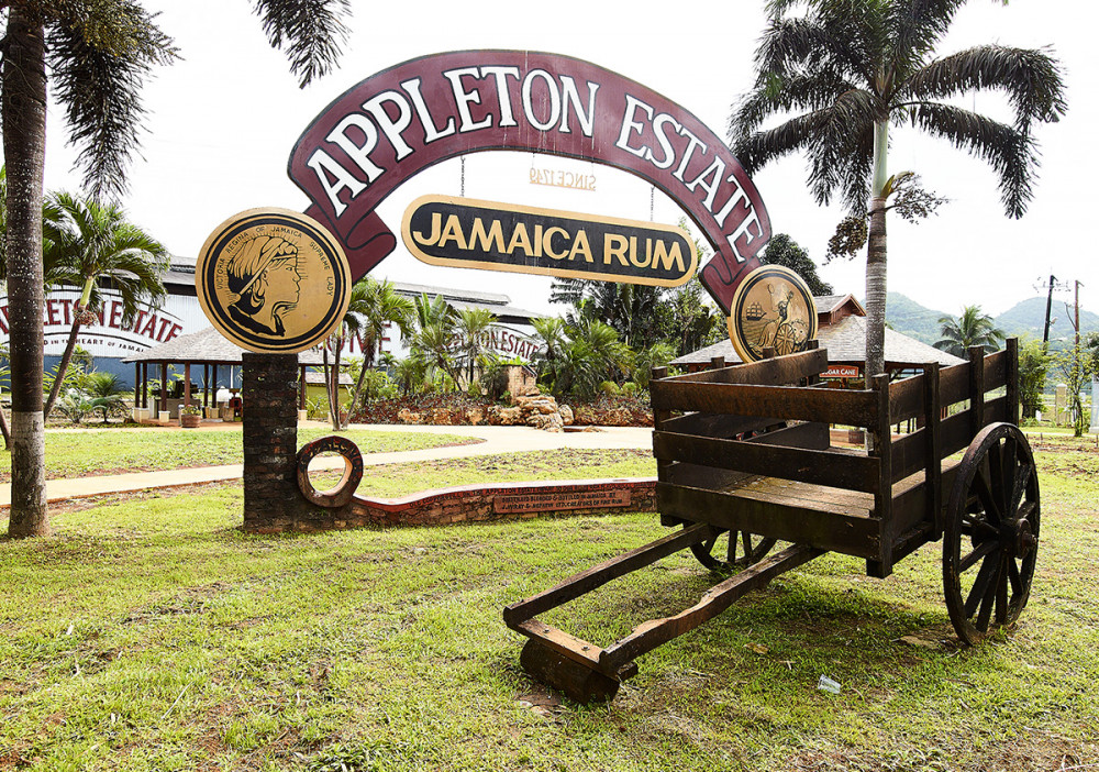 Joy Spence Appleton Estate Rum Tour from Negril