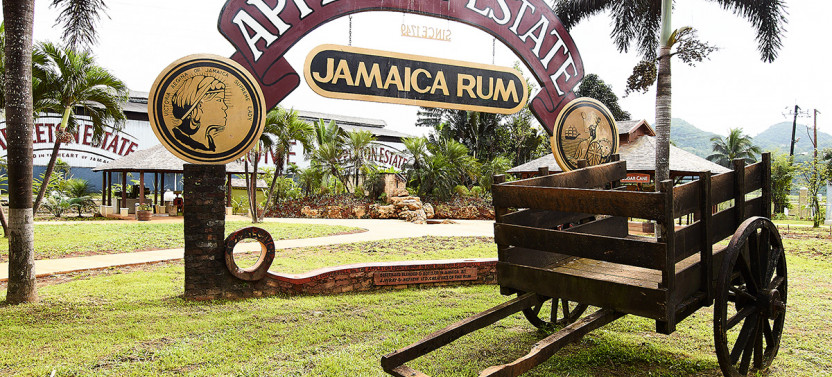 Joy Spence Appleton Estate Rum Tour from Runaway Bay