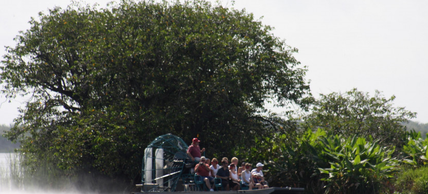 Everglades Day Safari from Fort Myers/Naples