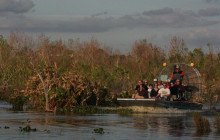 Everglades Day Safari8