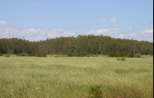 Everglades Day Safari9