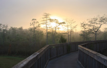 Everglades Day Safari10