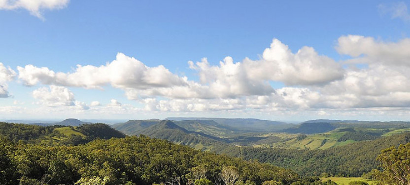 Lamington National Park, O'reilly's & Vineyard Tour