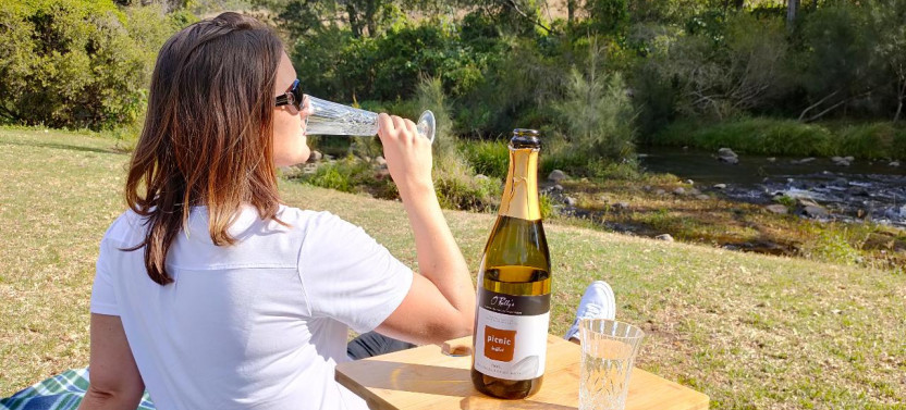 Lamington National Park, O'reilly's & Vineyard Tour