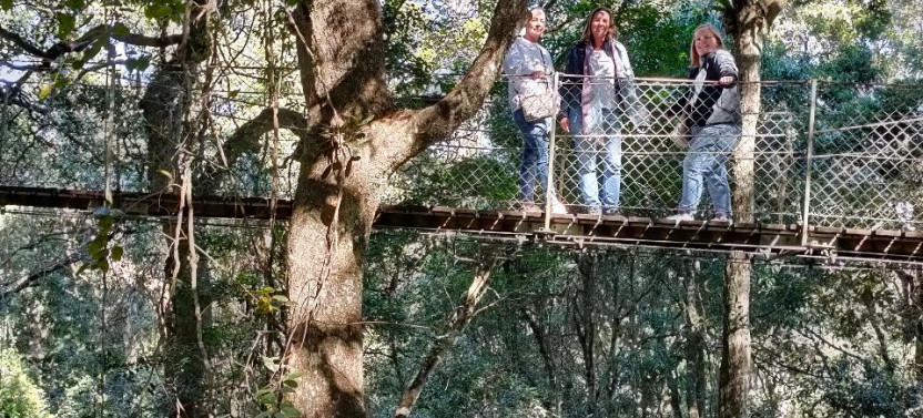 Lamington National Park, O'reilly's & Vineyard Tour