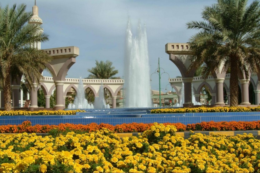 Al Ain Tour with Lunch