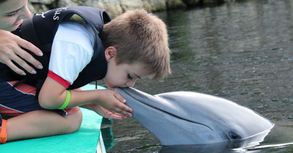 Discover Dolphins Dockside