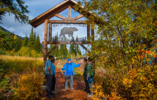 Discover Grizzly Bears Tours