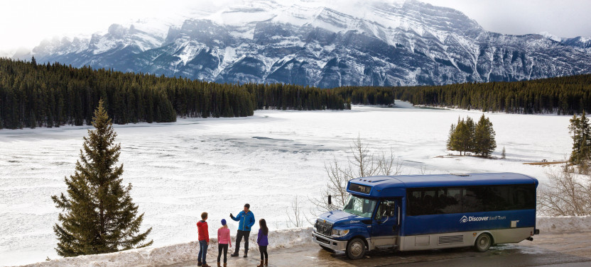 Discover Banff & its Wildlife with Gondola