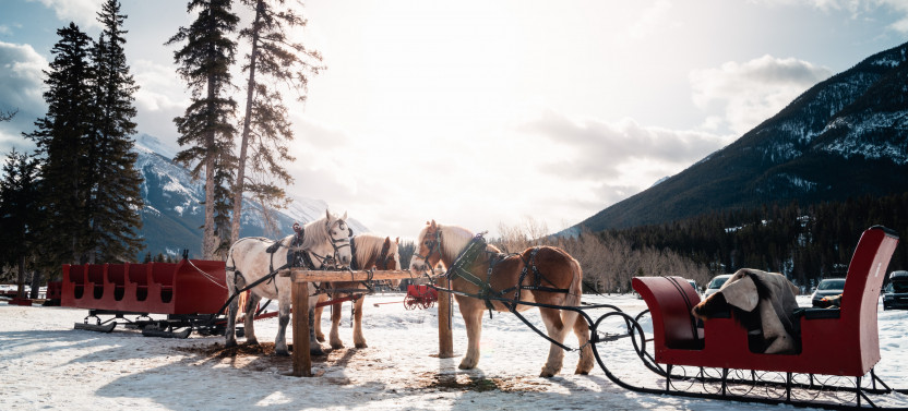 Banff Public Sleigh Ride