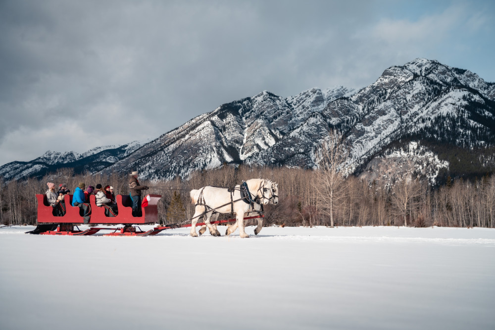 Banff Public Sleigh Ride