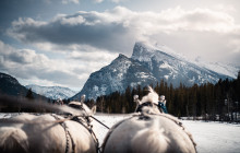 Discover Banff5