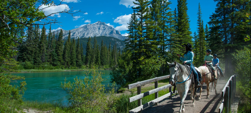 Small Group Bow River Horseback Ride