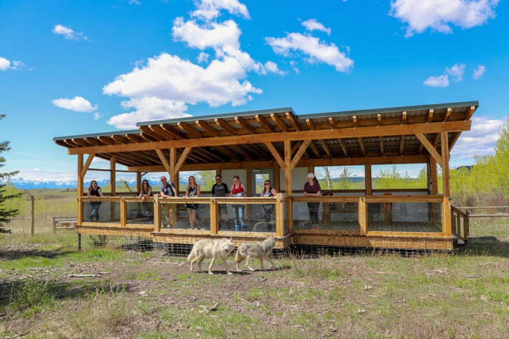 Wolfdog Sanctuary Intro Tour