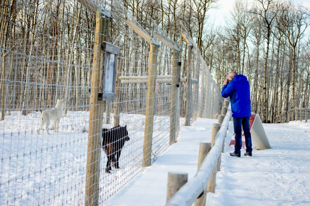 Wolfdog Sanctuary Self-Guided Walk