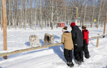 Discover Banff4