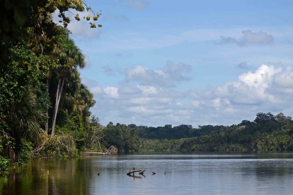 Tambopata National Reserve Sights & Attractions Project Expedition