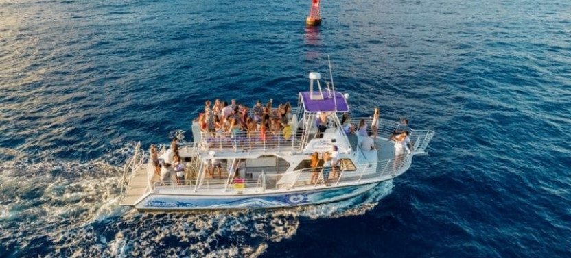Waikiki Humpback Whale Watching Tour with Trolley Ride
