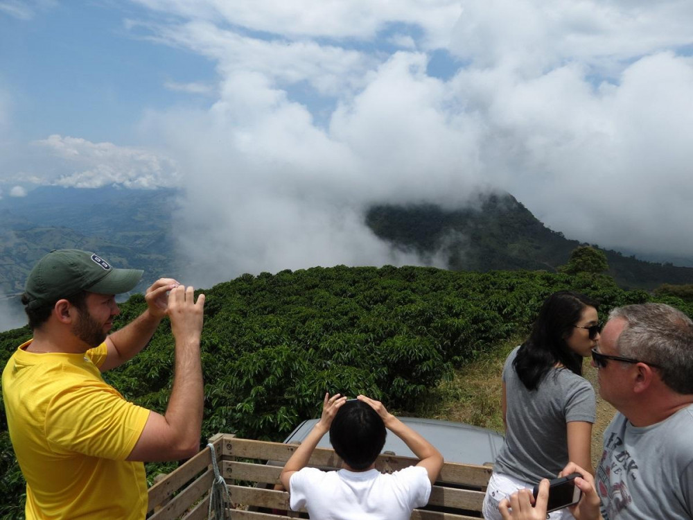 Private Concordia Medellin Coffee Tour