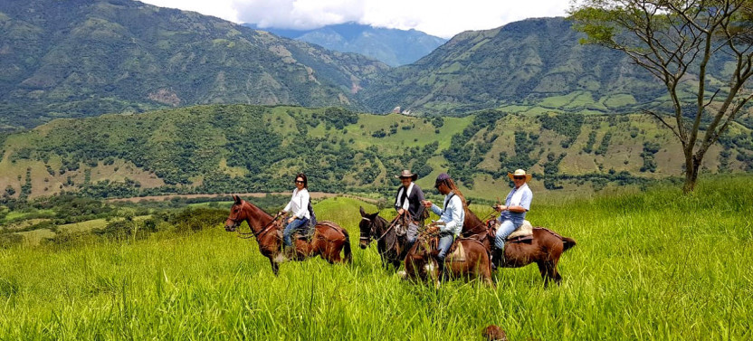 Medellin Horse-Back Ride Around Cattle Ranch
