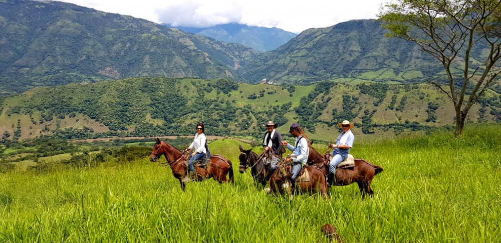 Medellin Horse-Back Ride Around Cattle Ranch