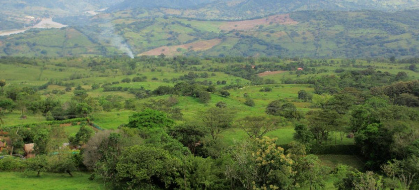 Overnight Experience In a Charming Finca Out Of Medellín