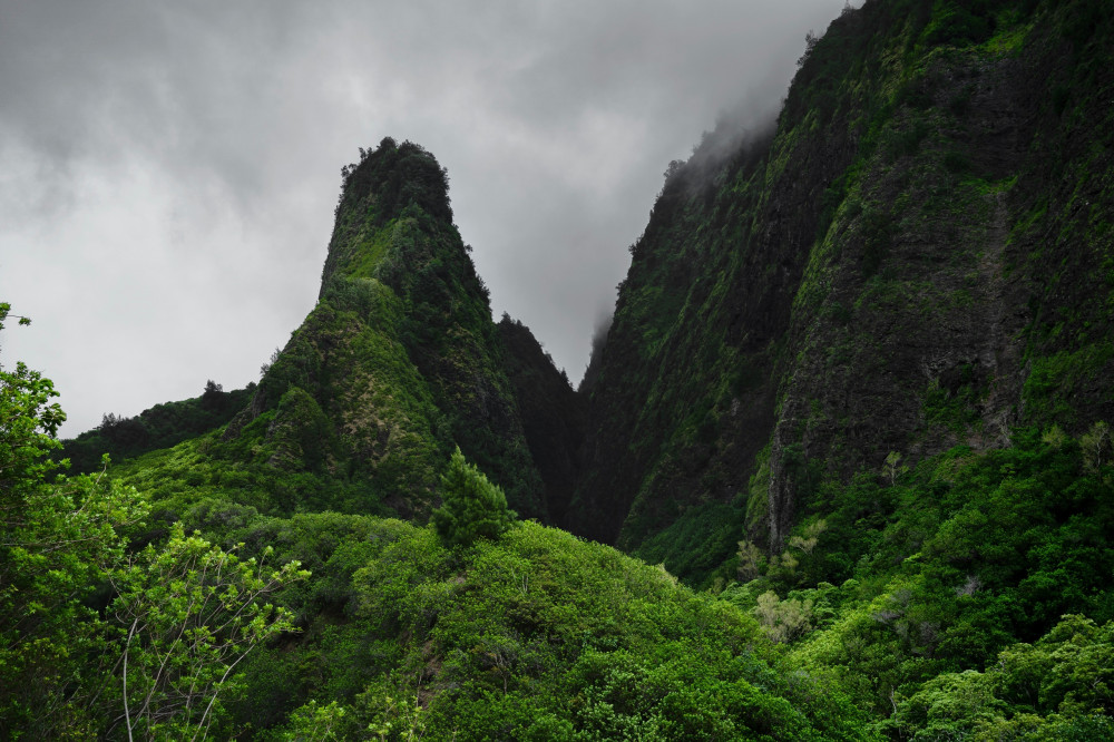 Private Iao Valley/Upcountry Farm Tour - Half Day
