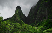 Private Iao Valley/Upcountry Farm Tour - Half Day