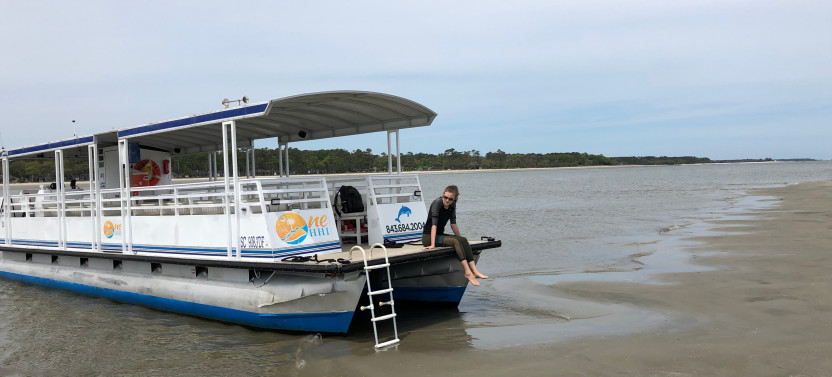 2 Hour Dolphin Watching Tour with Disappearing Island