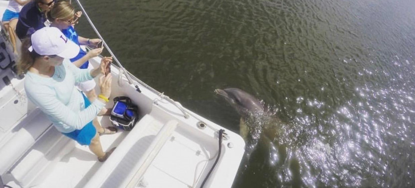 Private Hilton Head Dolphin Tour