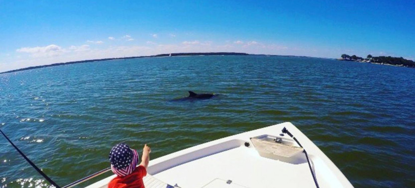 Private Hilton Head Dolphin Tour