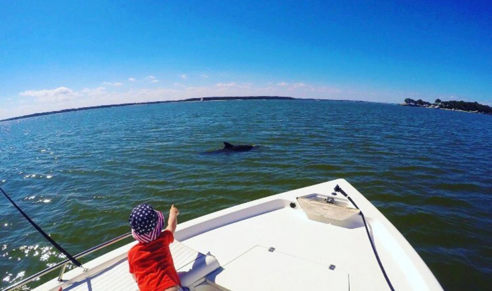 Private Hilton Head Dolphin Tour